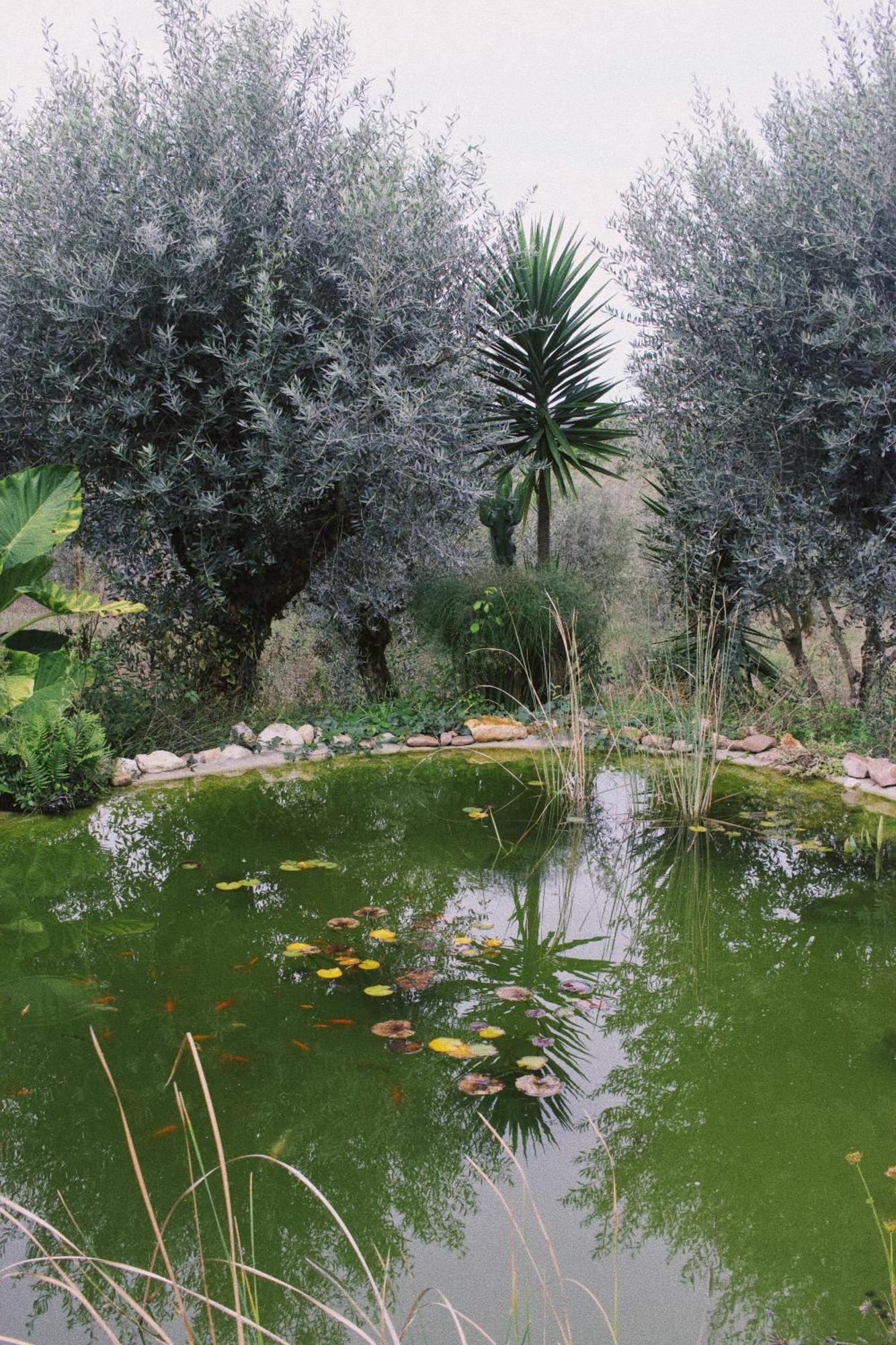 Casa Oliva - Casa Do Lago ปอร์โต เด มอส ภายนอก รูปภาพ